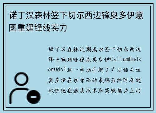 诺丁汉森林签下切尔西边锋奥多伊意图重建锋线实力 诺丁汉森林签下切尔西边锋奥多伊意图重建锋线实力